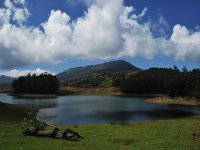 Compare Ooty Hotels